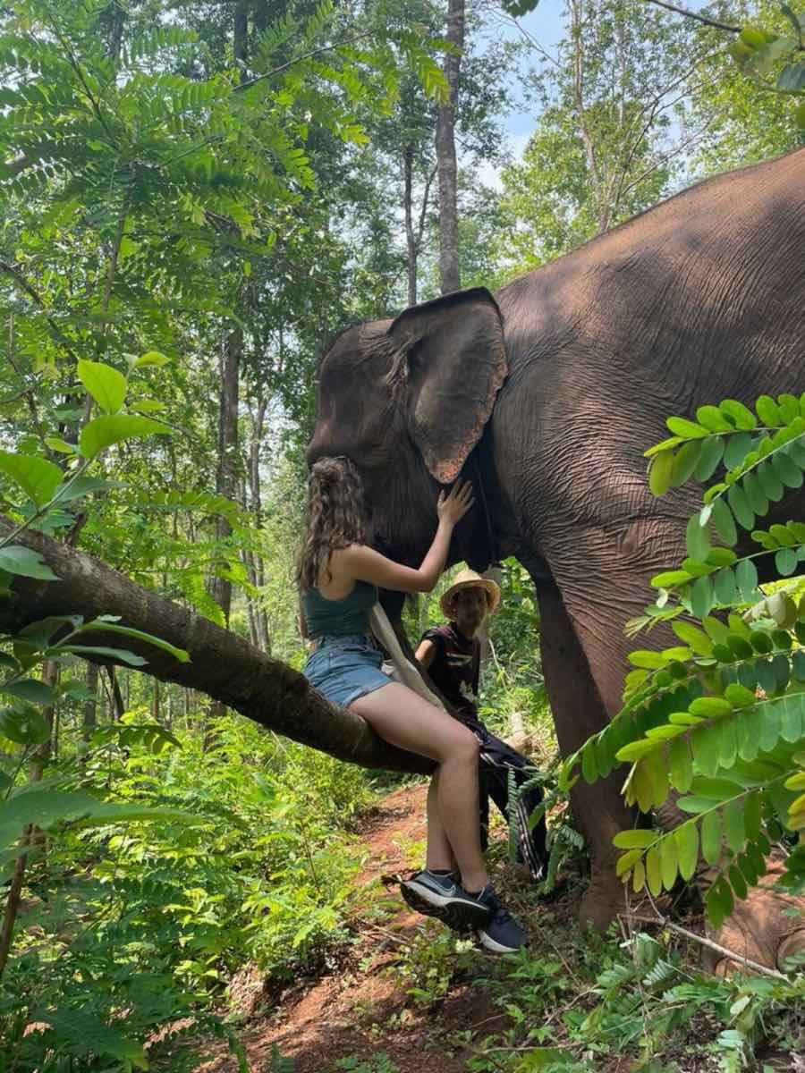 Taylor gently touching an elephant’s head at a sanctuary in the forest
